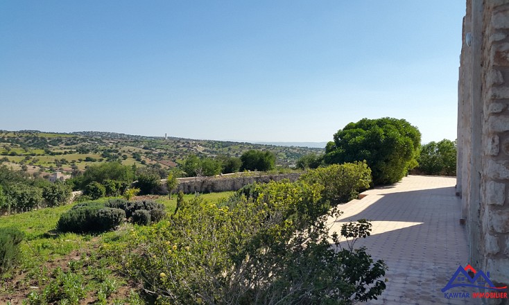 Villa à 20km d'Essaouira 13