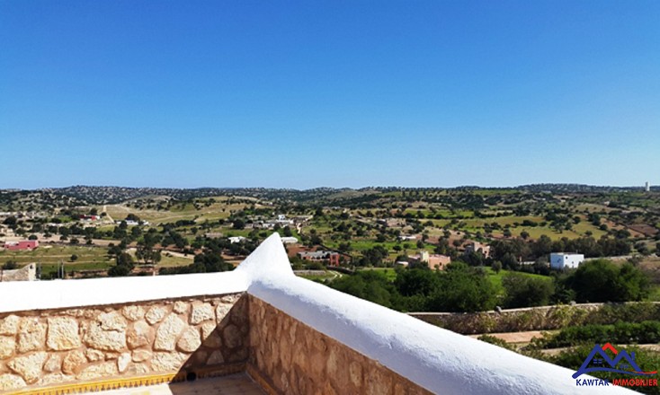 Villa à 20km d'Essaouira 19