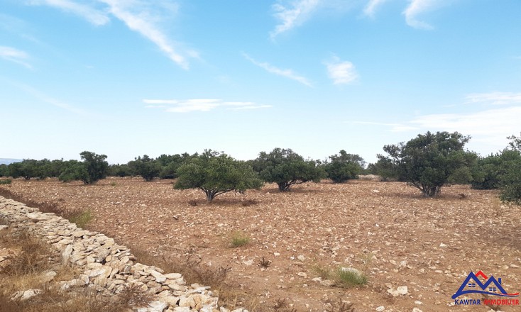 Terrain vendre Ounagha Vente Terrain Essaouira R  f  THRA6