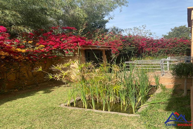 Magnifique Villa en location  13