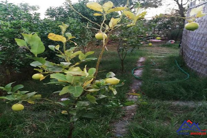 Joli appartement avec jardin  11