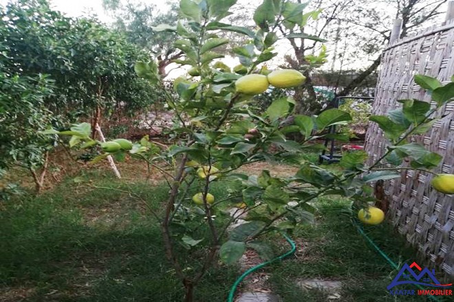 Joli appartement avec jardin  18