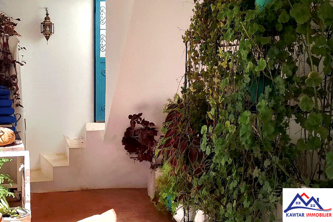 À Vendre – Riad Rénové au Cœur de la Médina 11