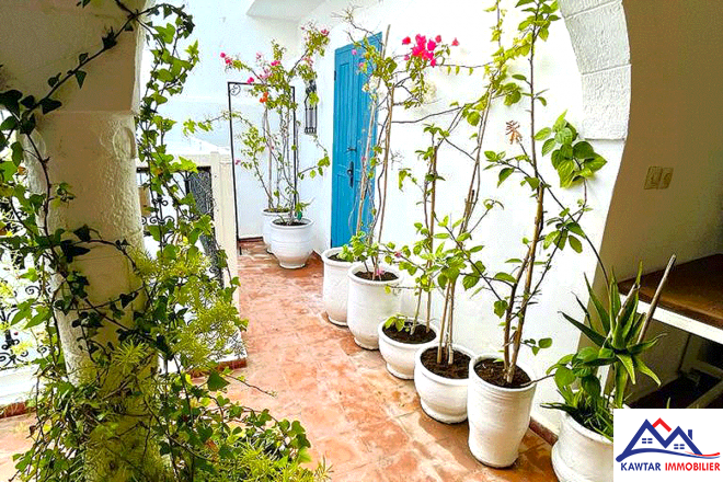 À Vendre – Riad Rénové au Cœur de la Médina 12