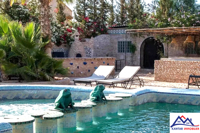 Domaine de 1,1 hectare clos de murs en pierres – À 27 km d’Essaouira 1