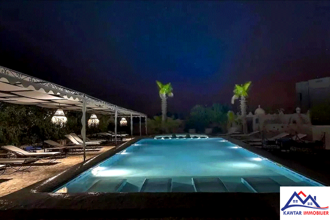 Domaine de 1,1 hectare clos de murs en pierres – À 27 km d’Essaouira 6