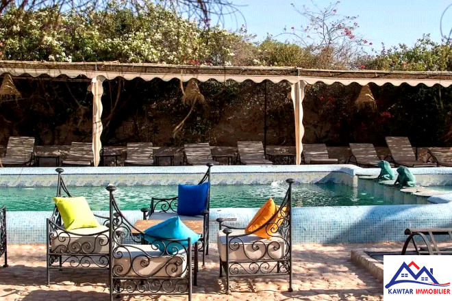 Domaine de 1,1 hectare clos de murs en pierres – À 27 km d’Essaouira 18