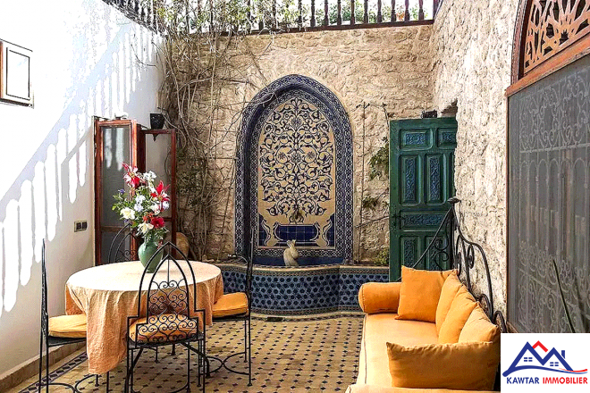 Domaine de 1,1 hectare clos de murs en pierres – À 27 km d’Essaouira 20