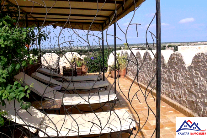 Domaine de 1,1 hectare clos de murs en pierres – À 27 km d’Essaouira 21