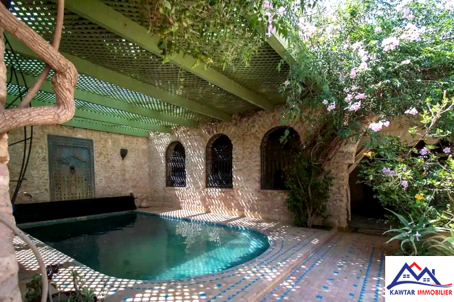 Domaine de 1,1 hectare clos de murs en pierres – À 27 km d’Essaouira 24