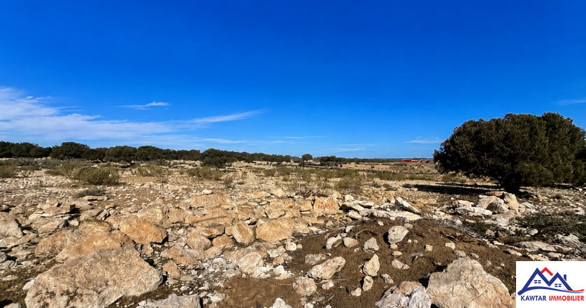 Terrain d’exception à Sidi Kaouki – Pour Projet touristique  1