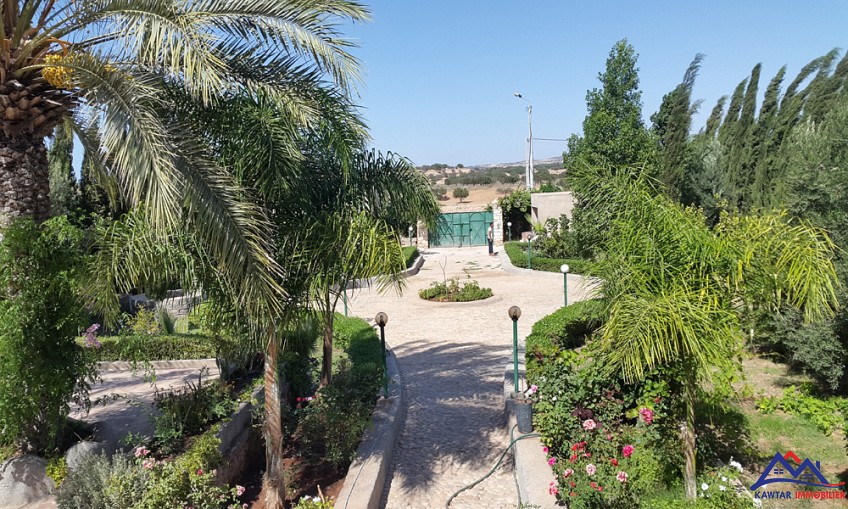 Villa à 25 km d'Essaouira — 6