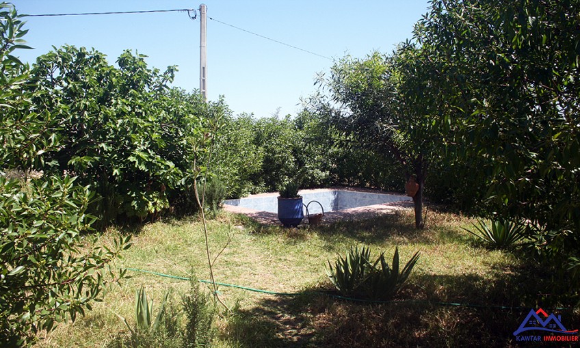 Dar 1200 m² f indéfini — 9