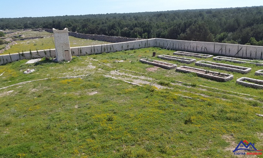 Villa 10000 m² f indéfini — 6
