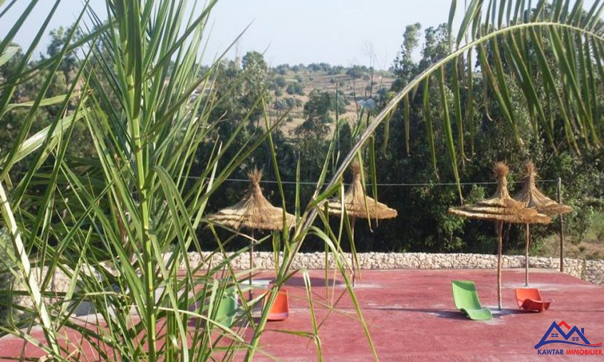 Villa 4500 m² à indéfini — 5