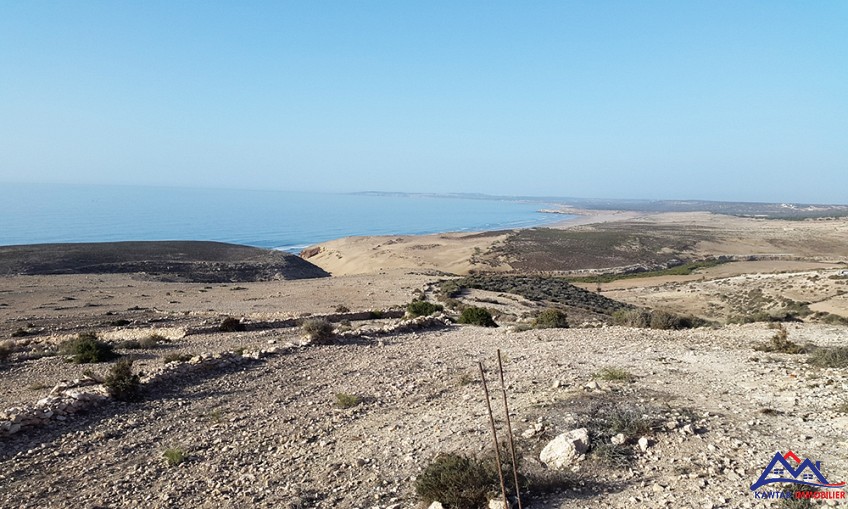 Terrain 2300 m² à indéfini — 4