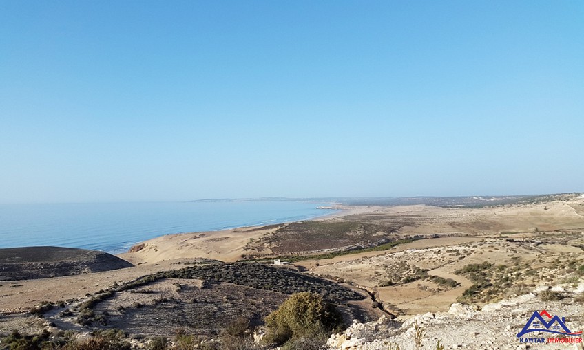 Terrain 2300 m² à indéfini — 10