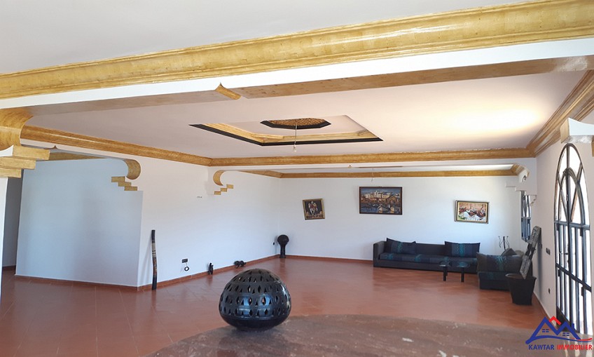 Villa 4000 m² à indéfini — 6