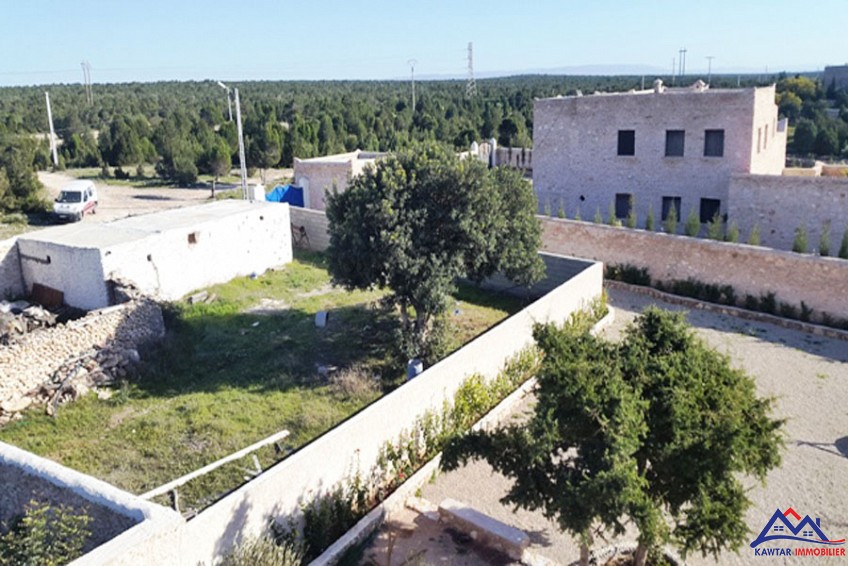 Villa 2000 m² à indéfini — 3