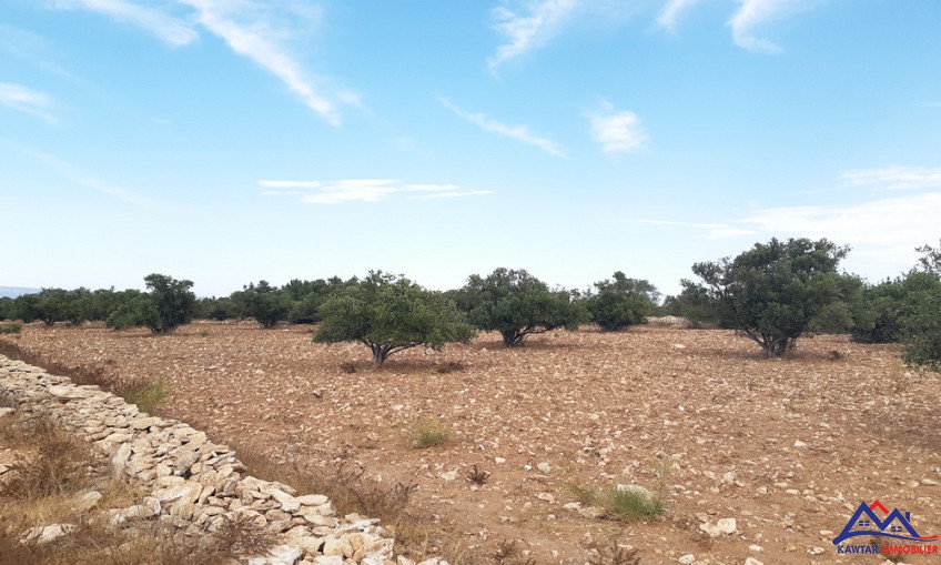 Terrain à vendre à Ounagha — 3