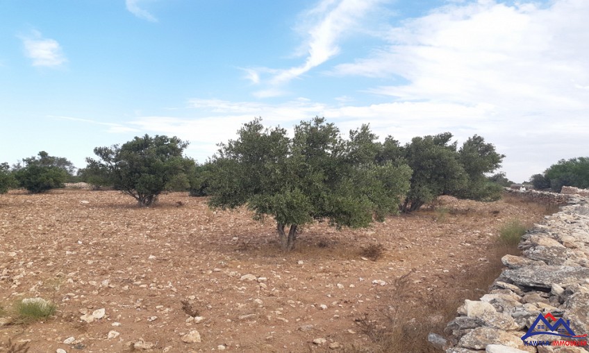 Terrain à vendre à Ounagha — 4