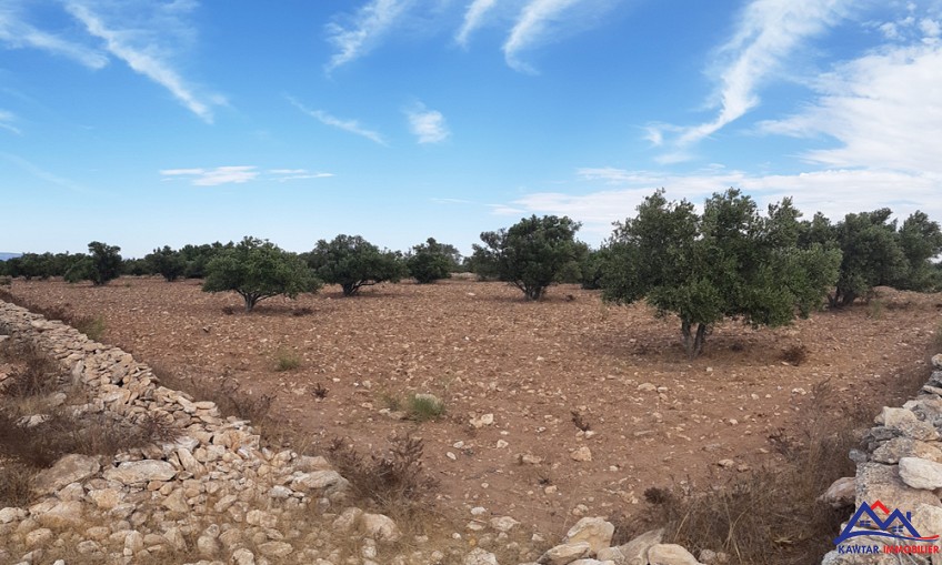 Terrain à vendre à Ounagha — 5