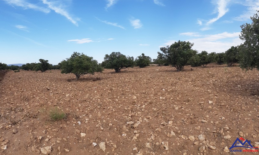 Terrain à vendre à Ounagha — 6