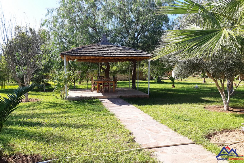 Villa 10000 m² à indéfini — 4
