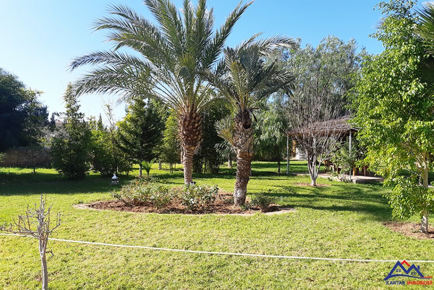 Villa 10000 m² à indéfini — 5