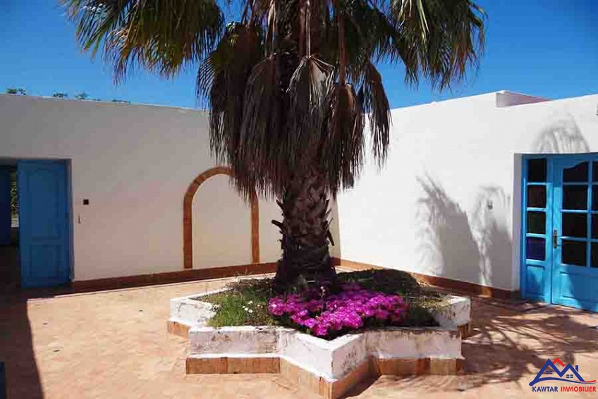 Maison campagne Beldi avec piscine — 6