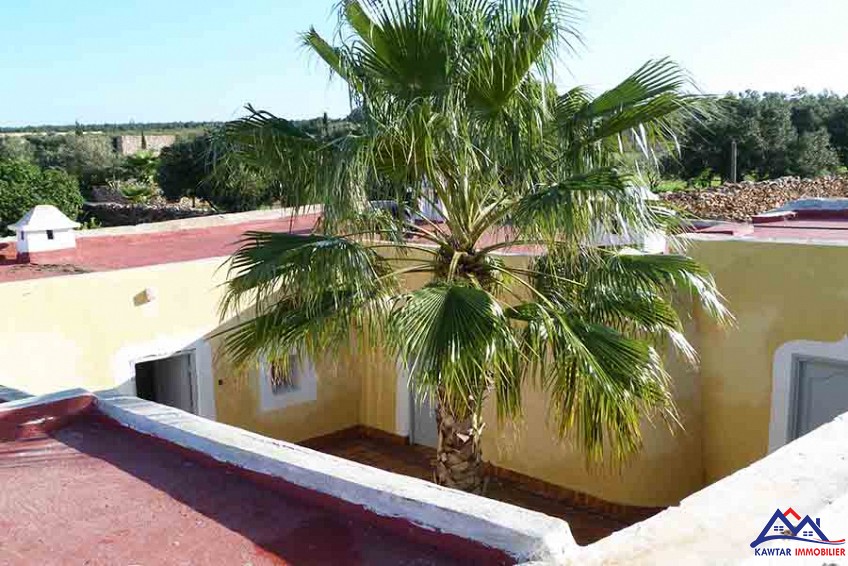 Maison campagne Beldi avec piscine — 5