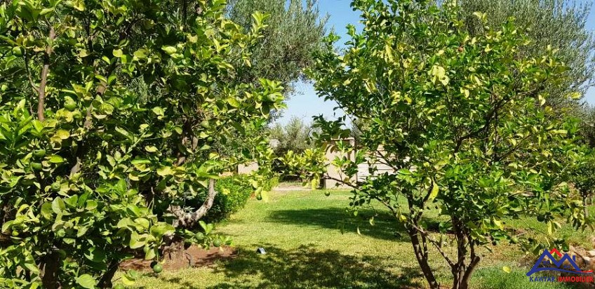 Villa 1000 m² à Route de Fès — 8