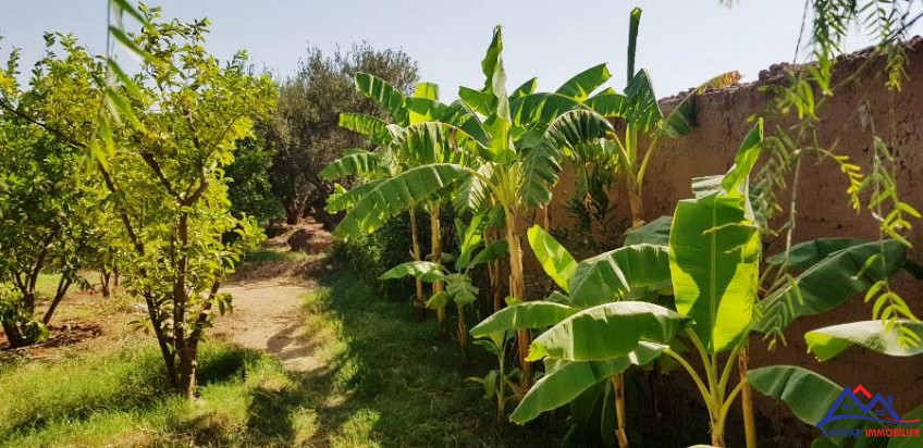 Villa 1000 m² à Route de Fès — 9