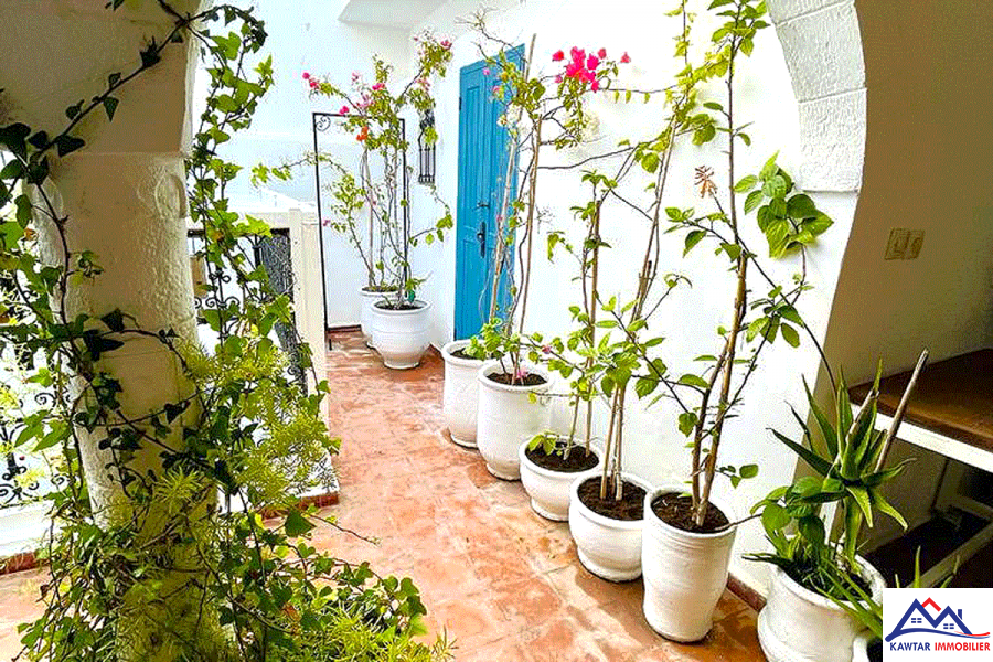 À Vendre – Riad Rénové au Cœur de la Médina