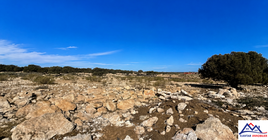Terrain d’exception à Sidi Kaouki – Pour Projet touristique 