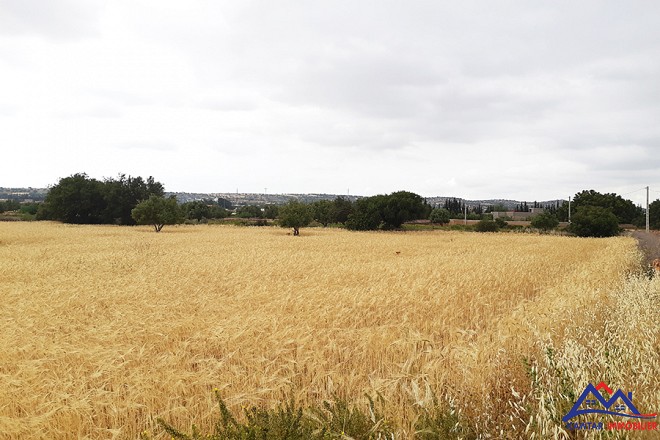 Maison campagne en vente à Ounagha 11