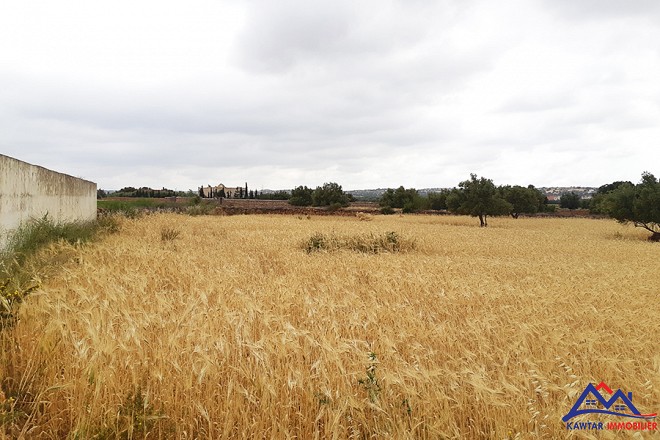 Maison campagne en vente à Ounagha 12