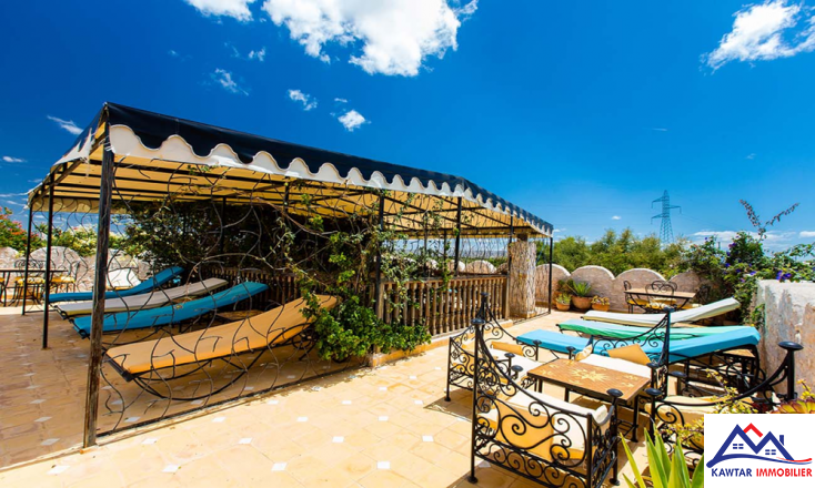Domaine de 1,1 hectare clos de murs en pierres – À 27 km d’Essaouira 17
