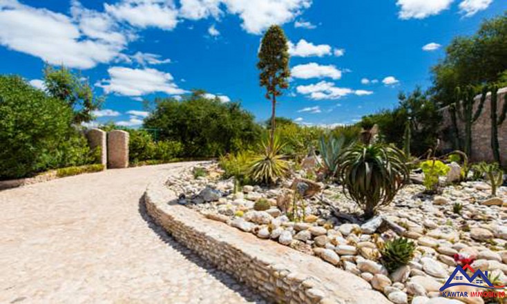 Domaine de 1,1 hectare clos de murs en pierres – À 27 km d’Essaouira 21