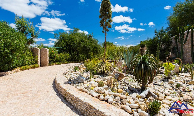 Domaine de 1,1 hectare clos de murs en pierres – À 27 km d’Essaouira 6