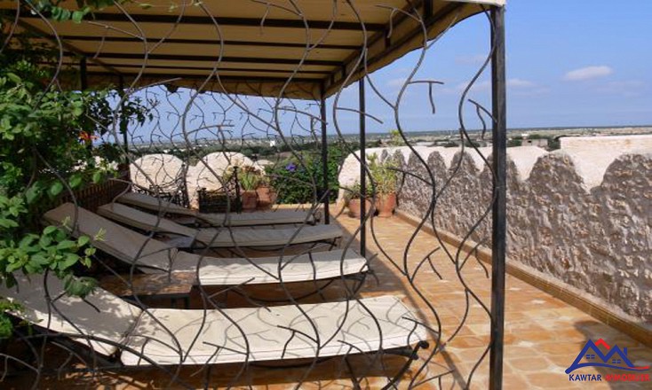 Domaine de 1,1 hectare clos de murs en pierres – À 27 km d’Essaouira 7