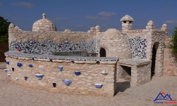 Domaine de 1,1 hectare clos de murs en pierres – À 27 km d’Essaouira 8