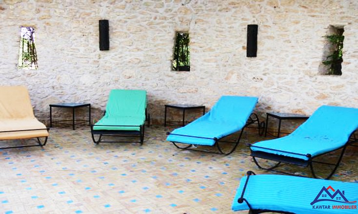 Domaine de 1,1 hectare clos de murs en pierres – À 27 km d’Essaouira 10