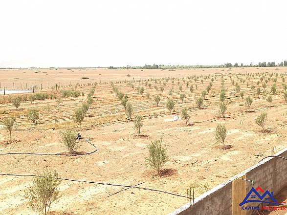 Belle Maison campagne en vente 13