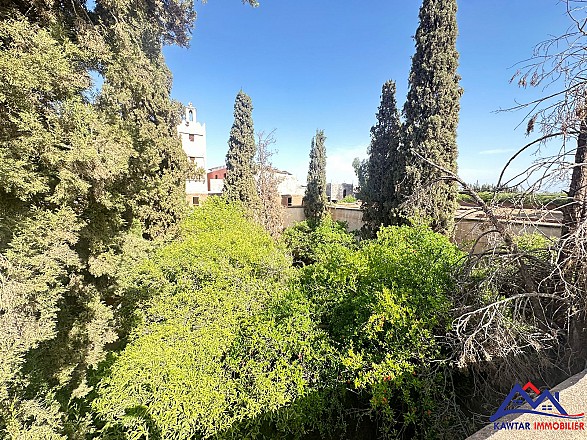 Riad grandiose en vente  1