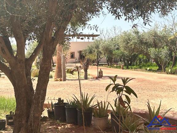 Domaine d’Exception à Usage Touristique – À Vendre Route de Ouarzazate 9