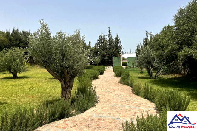 À vendre – Villa neuve contemporaine sur 3 500 m² de terrain 12