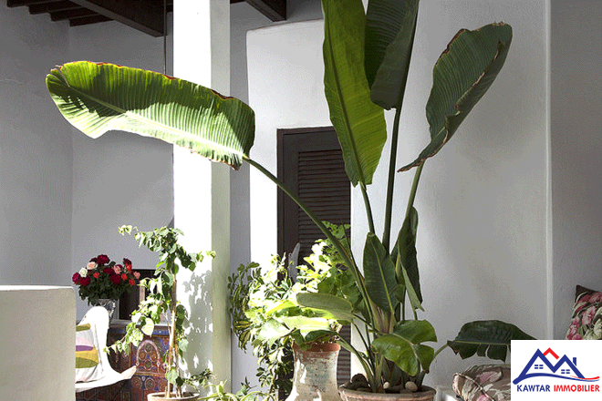 Riad entièrement rénové, idéalement situé au cœur de l’ancienne médina 35