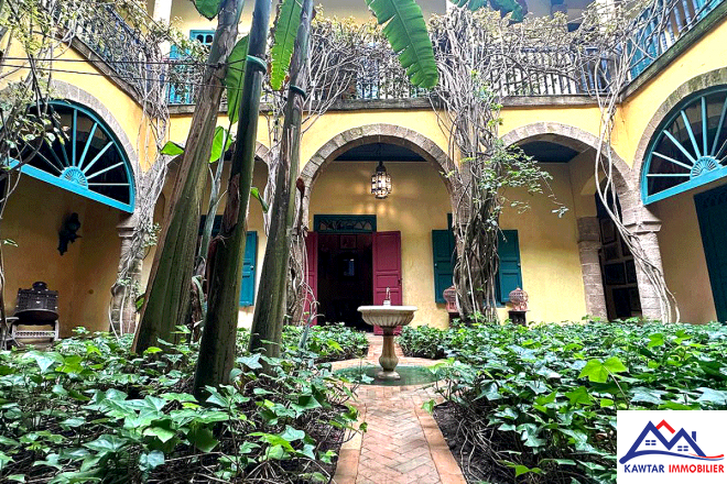 Riad très spécial 15