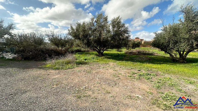 Lots de terrain titrés à vendre – Route de l’Ourika, Marrakech (à 6 km du centre) 1